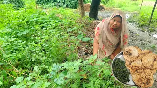 UP Style Chuni Ki Litti Aur Chaurai Ka Saag | उड़द चना मटर दाल चुनी और चौराई का साग