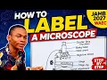 How to Label a Microscope Correctly Parts of a Microscope JAMB 2027 WAEC Biology