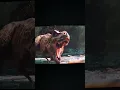 Download Lagu EPIC T-REX ROAR from Jurassic World Rebirth #tyrannosaurusrex #jurassicworldrebirth #jurassicworld