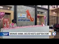 Special promotion for ped adoption offered by Broward County Animal Care