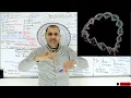 Microbiology Bacterial cell structure DNA Ribosome Cell wall Cell membrane