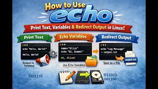 How to Use echo - Print Text Variables Redirect Output in Linux