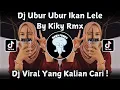 DJ UBUR UBUR IKAN LELE BY KIKY RMX SOUND VIRAL TIKTOK TERBARU 2025 !!!