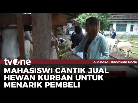 S3 Marketing! Ini Cara Pedagang Hewan Kurban di Bantul Tarik Pelanggan