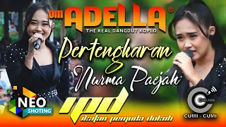 pertengkaran nurma paejah adella ipd 2023 cumi cumi audio
