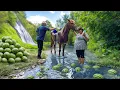 Download Lagu Unusual Watermelon Recipes from Countryside Life