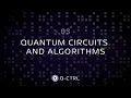 Quantum circuits and algorithms ep3