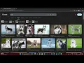 CS50W Project 0 Search Google search clone