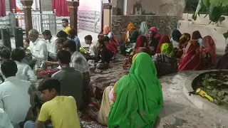                     دندنها