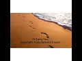 I’ll Carry You