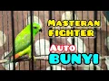 Download Lagu MASTERAN SERINDIT GACOR SUARA TAJAM DURASI SINGKAT BIKIN SERINDIT LAIN IKUT BUNYI GACOR