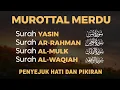 Download Lagu MUROTTAL MERDU Pengantar Tidur AL KAHFI, AL MULK, AR RAHMAN, YASIN, AL WAQIAH | Alaa Aqel