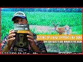 spypoint link dark cellular trail camera overview setup