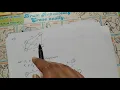 Ant Colony Optimization 1