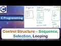 Control Structure - Sequence Selection Decision Making Looping C Programming Language