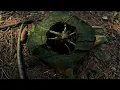 Imagine Dragons - Bubble (Un)Official #Music #Video #SubscribeNow #MusicLoversUnite #imaginedragons