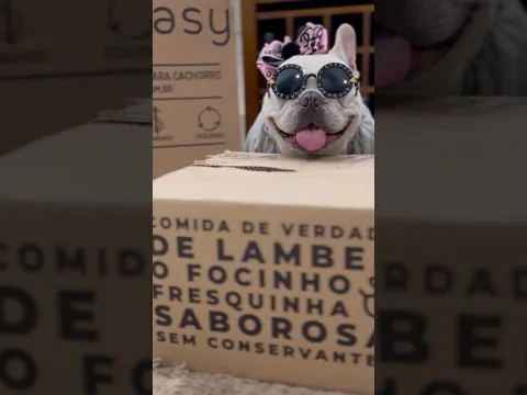 Memineiiiiii . #virginiafonseca #memimei #luxo #viralvideo #pets