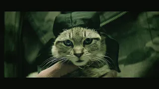 Keanu - 2016
