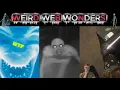 weird web wonders vol 31