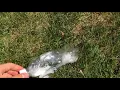 The Works Toilet Bowl Cleaner Bomb