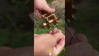                                                            دندنها
