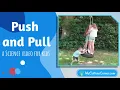Push and Pull for Kids Force and Motion Explained with Real World Examples