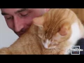 I LOVE CATS