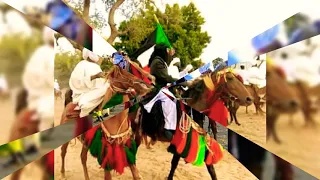 ربابة تراث البقارة 