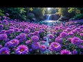 Lagu (No ADS ) MORNING RELAXING MUSIC - Euphoric Positive Energy \u0026 Stress Relief - Calm Morning Music #1
