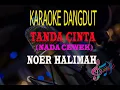 Download Lagu Karaoke Tanda Cinta Nada Cewek - Noer Halimah (Karaoke Dangdut Tanpa Vocal)