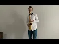 Chris Malinchak “Can’t Quite Understand “ by Janis Danevics saxo remix