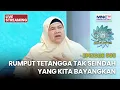🔴 RUMPUT TETANGGA TAK SEINDAH YANG KITA BAYANGKAN!  | LIVE SIRAMAN QOLBU | 20 NOVEMBER 2025