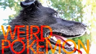 This is a Weird Pokemon – Van Life 147