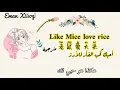 Wang Qiwen | Lao Shu Ai Da Mi [مترجمة] 老鼠爱大米 Just Like Mice Love Rice أحبك كحب الفأر للأرز