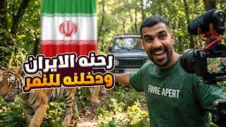 رحنه الايران ودخلنه للنمر 😱