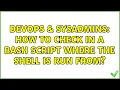 DevOps SysAdmins How to check in a bash script where the shell is run from