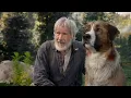 Video di Il Richiamo della Foresta | Trailer Ufficiale HD