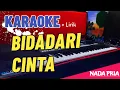 Lagu BIDADARI CINTA ( KARAOKE ) DANGDUT KOPLO  - Nada Pria