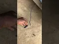 MERCEDES BENZ GLE 2014 AMBIENT TEMPERATURE SENSOR FAILURE-AC WONT COME ON