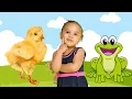 Download Lagu Músicas infantil Pintinho Amarelinho O Sapo não lava o pé 1 2 3 Indiozinho