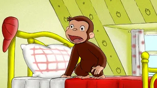 Operation: Kühe fernhalten! | Coco der Neugierige | Cartoons für Kinder