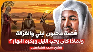 الشيخ محمد الشنقيطي قصة مجنون ليلى والغزالة ولماذا كان يحب الليل ويكره النهار 
