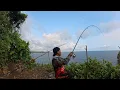 Download Lagu CERITAKU MANCING GAK SESUAI HARAPAN 🤕⁉️ mancing ikan besar