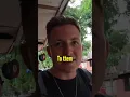 Download Lagu Negosiator terbaik di Indonesia 🇮🇩