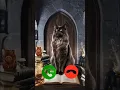 Download Lagu Catcall #nocomment #aicat #monkcall #ringtone #ringtones