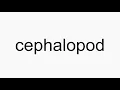 How to pronounce cephalopod