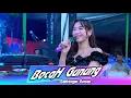 Download Lagu BOCAH GUNUNG - NONIK X LISA - ALROSTA - JANGKAR AUDIO - AA MEDIA
