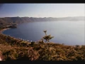 Mi Pais - Los Hermanos Flores