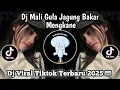 Download Lagu DJ MELI GULA JAGUNG BAKAR MENGKANE LAGU BALI VIRAL TIKTOK TERBARU 2025 YANG KALIAN CARI !!