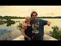 Jungle - Almanac